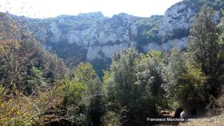 stello marchesa di Cassibile-10-02-2015 19-56-49